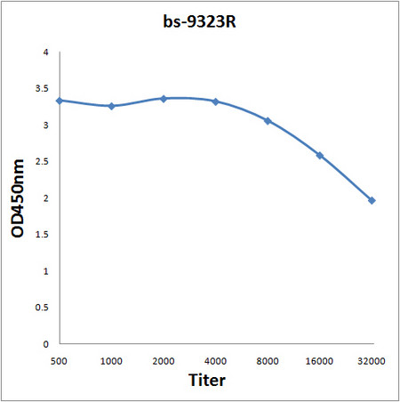 RanBP2 Antibody in ELISA (ELISA)