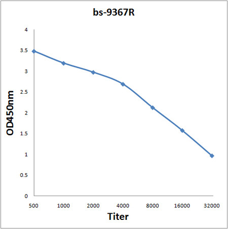 PSMD6 Antibody in ELISA (ELISA)