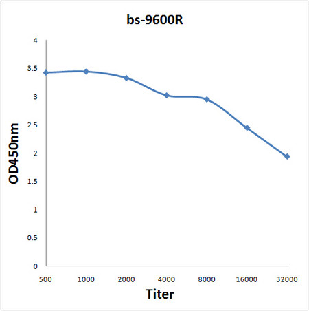 STIP1 Antibody in ELISA (ELISA)