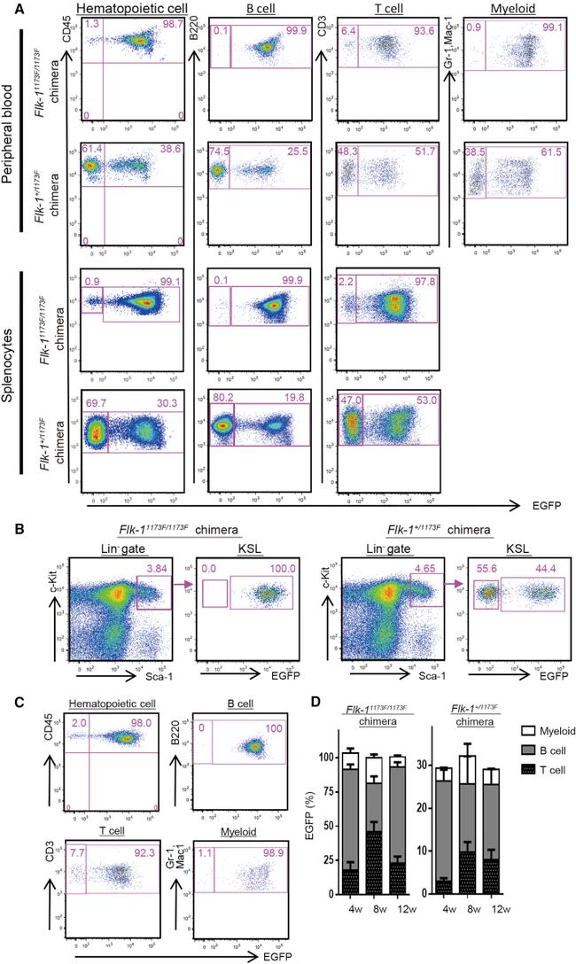 Cd117 Structure CD117 (c-Kit) Monoclonal Antibody (2B8), APC, eBioscience™ | Invitrogen ...