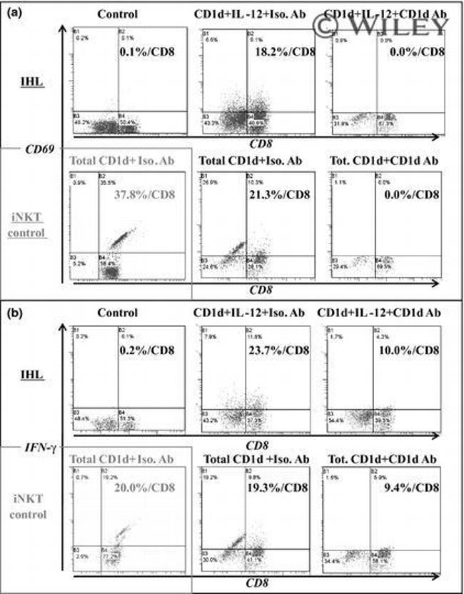 Cd69 Icon CD69 Monoclonal Antibody (FN50), PE (12-0699-42)