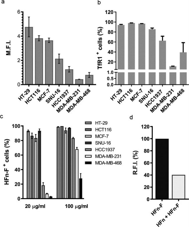 Transferrin Receptor Monoclonal Antibody (ICO-92) (MA1-7657)