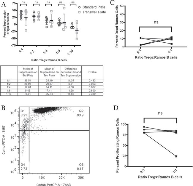 Ki-67 Antibody in Flow Cytometry (Flow)