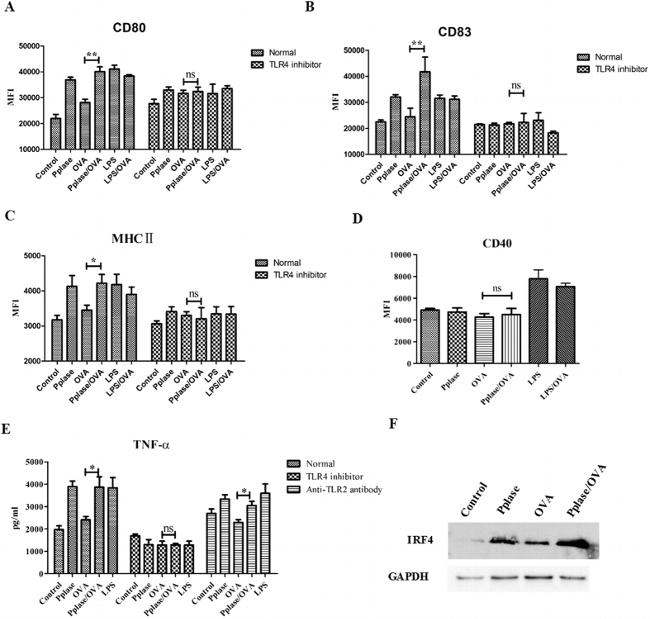 CD80 (B7-1) Antibody in Flow Cytometry (Flow)