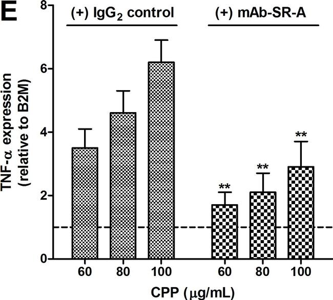 Rat IgG2b kappa Isotype Control in Inhibition Assays (IA)