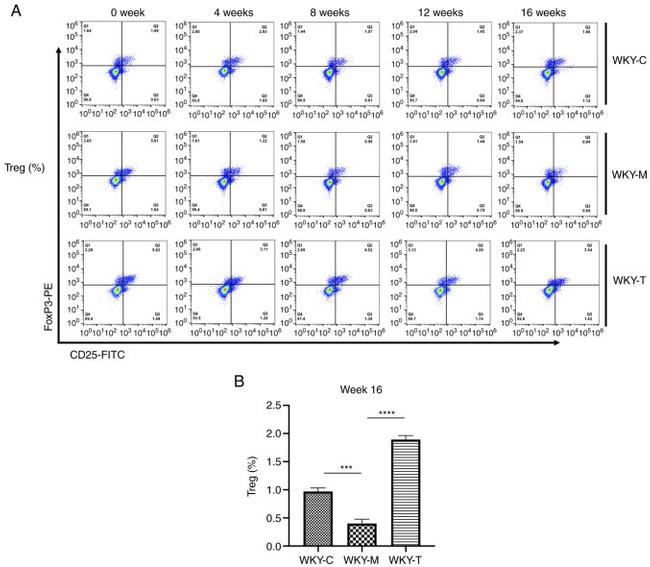 CD25 Antibody in Flow Cytometry (Flow)