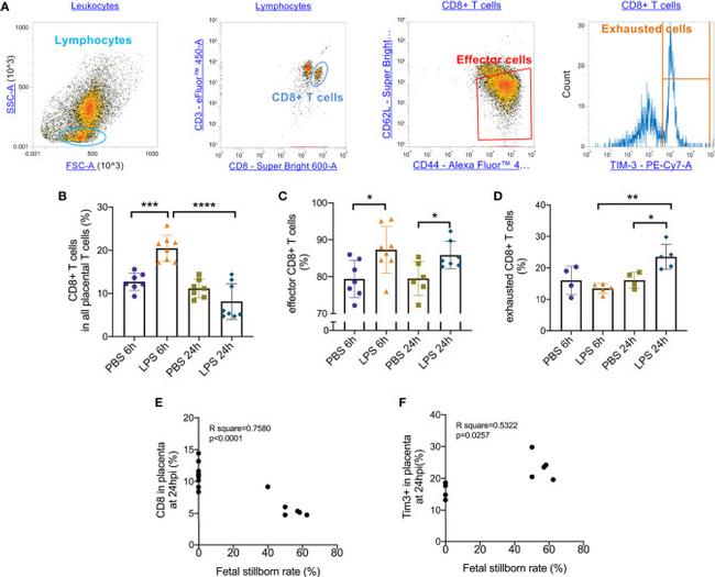 CD44 Antibody in Flow Cytometry (Flow)