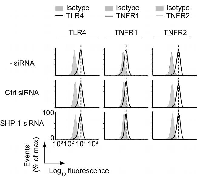 CD284 (TLR4) Antibody in Flow Cytometry (Flow)
