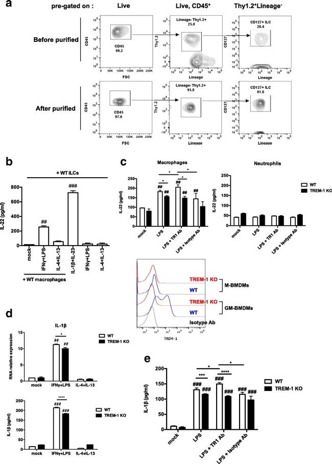 TREM1 Antibody in Flow Cytometry (Flow)
