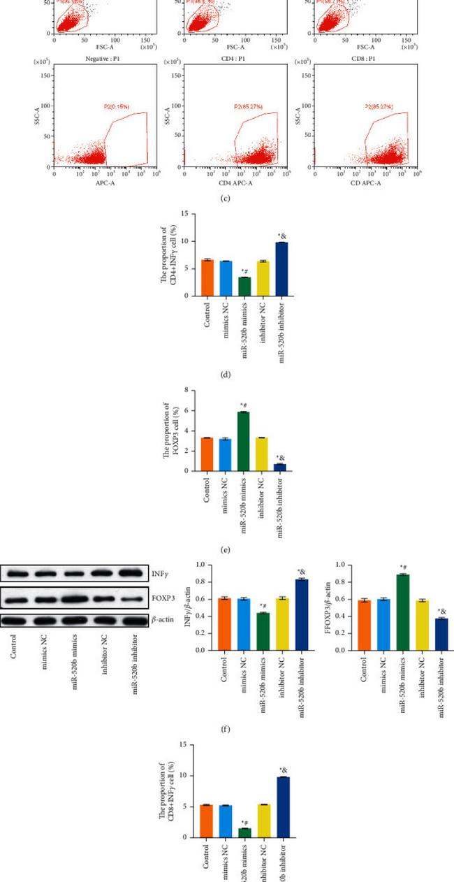 CD4 Antibody in Flow Cytometry (Flow)