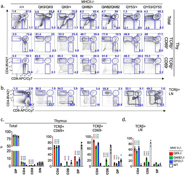 Cd69 Icon CD69 Monoclonal Antibody (H1.2F3), Super Bright™ 600 (63-0691-82)