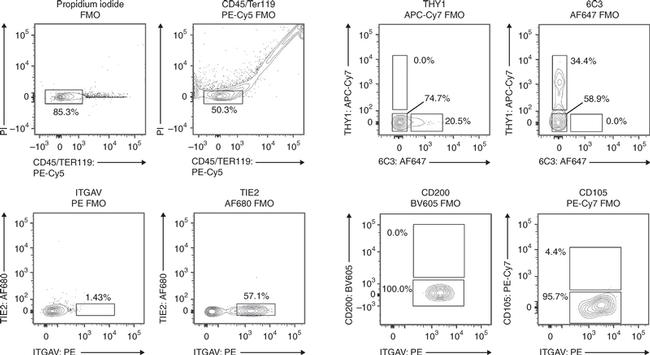 CD202b (TIE2) Antibody in Flow Cytometry (Flow)