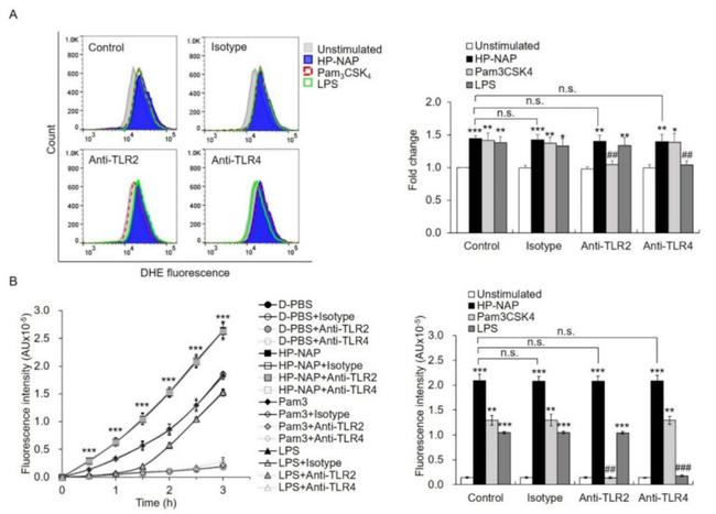 CD284 (TLR4) Antibody in Neutralization (Neu)