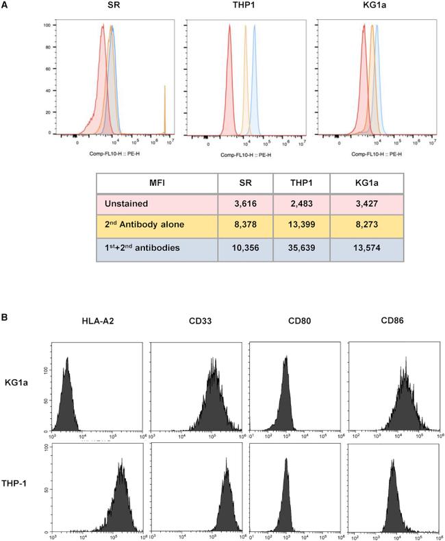 SSX2 Antibody in Flow Cytometry (Flow)