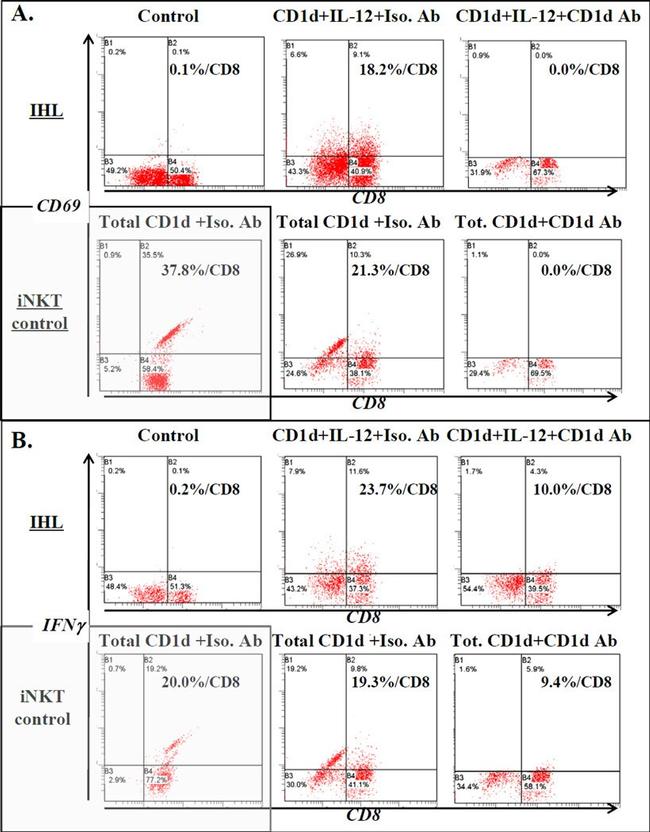 Cd69 Icon CD69 Monoclonal Antibody (FN50), PE, eBioscience™ | Invitrogen (12-0699-42)