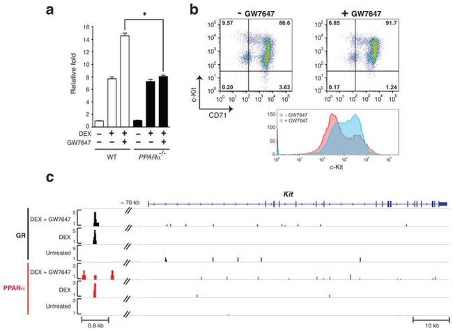 Cd117 Rcc CD117 (c-Kit) Monoclonal Antibody (104D2), PE-Cyanine7, eBioscience ...