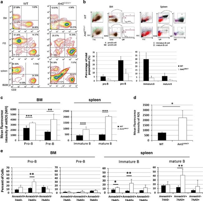 Mouse IgD Antibody in Flow Cytometry (Flow)