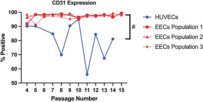 CD31 Antibody in Flow Cytometry (Flow)