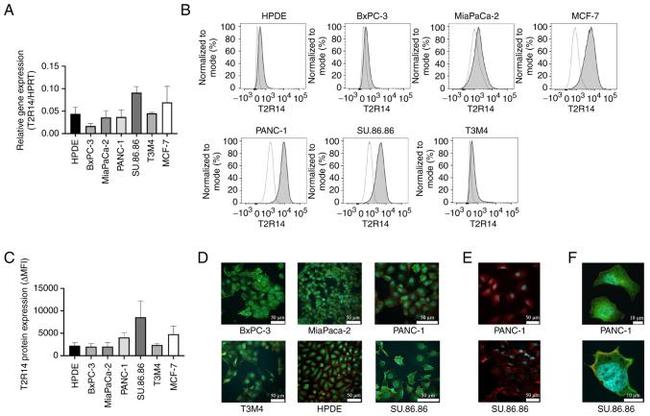 TAS2R14 Antibody in Flow Cytometry (Flow)