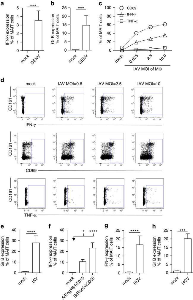 Granzyme B Antibody in Flow Cytometry (Flow)