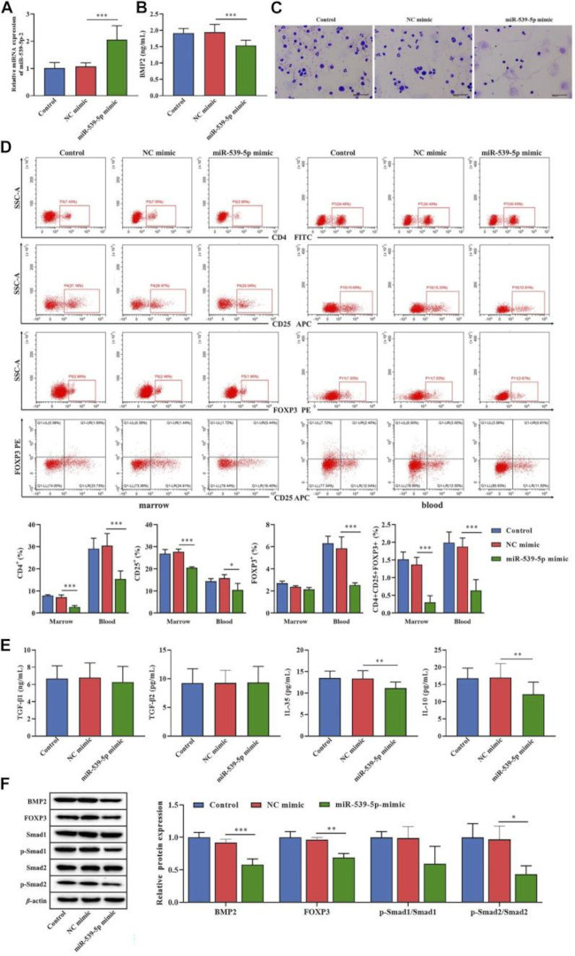 CD25 Antibody in Flow Cytometry (Flow)