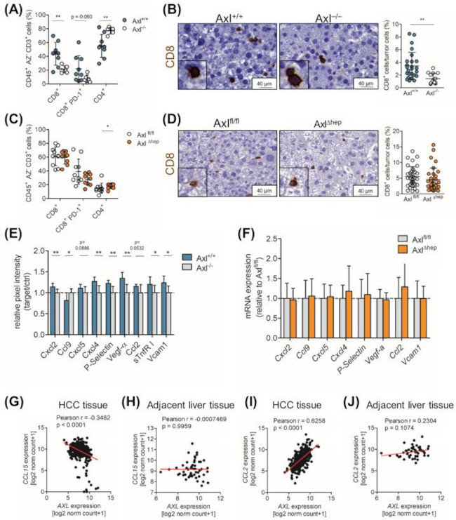 CD4 Antibody in Flow Cytometry (Flow)