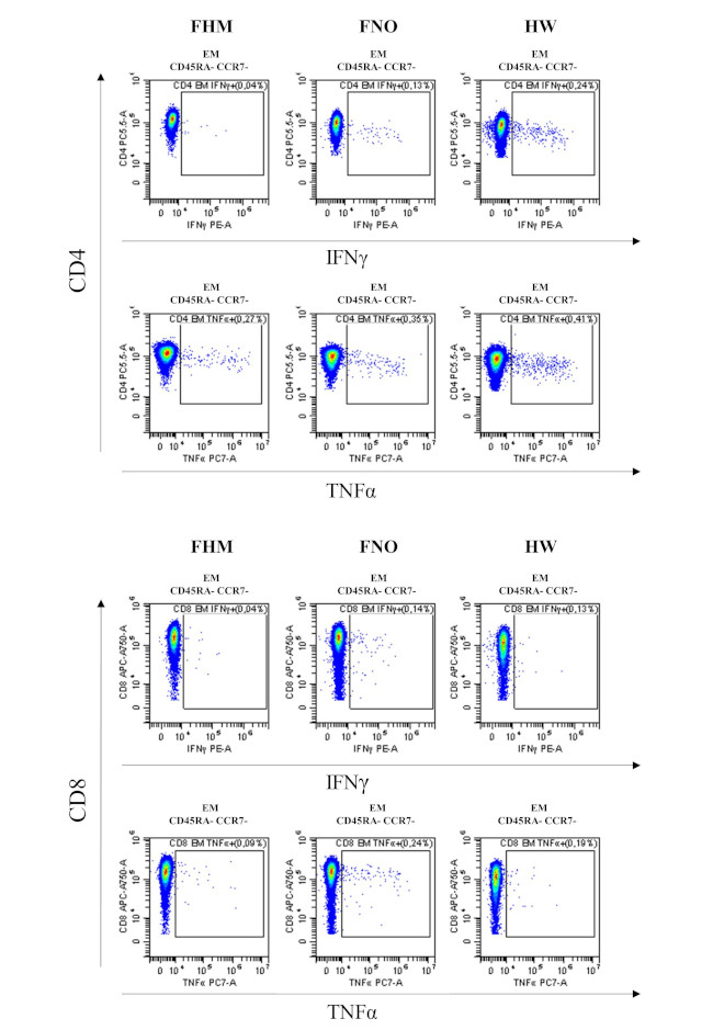 TNF alpha Antibody in Flow Cytometry (Flow)