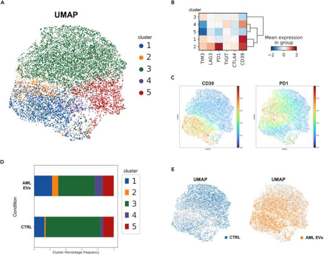 CD152 (CTLA-4) Antibody in Flow Cytometry (Flow)