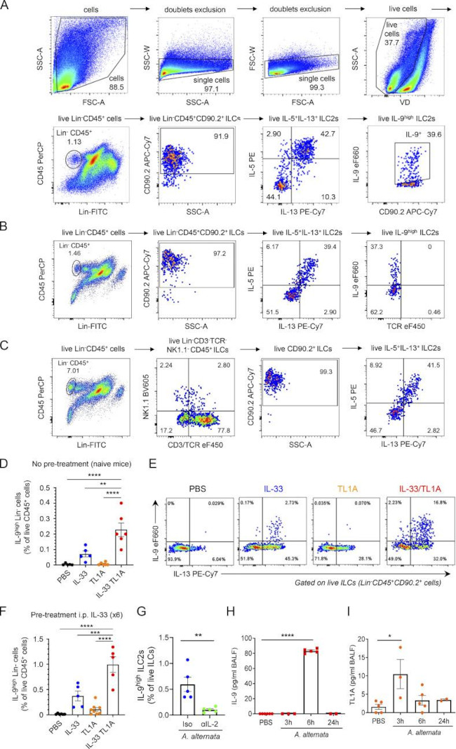 IL-13 Antibody in Flow Cytometry (Flow)