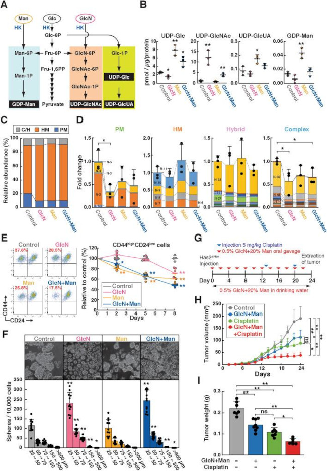 CD24 Antibody in Flow Cytometry (Flow)