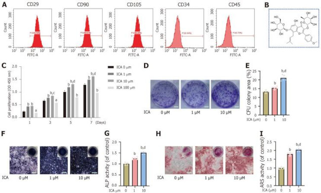 CD90.1 (Thy-1.1) Antibody in Flow Cytometry (Flow)
