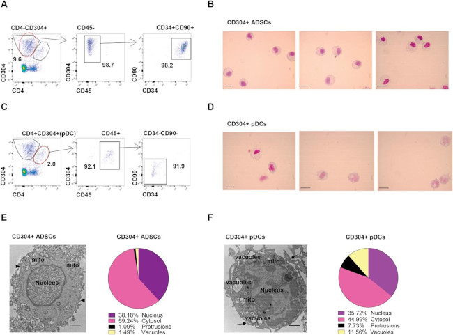 CD45 Antibody in Flow Cytometry (Flow)