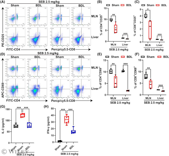 Cd69 Icon CD69 Monoclonal Antibody (FN50), PE, eBioscience™ | Invitrogen (12-0699-42)
