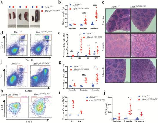 CD117 (c-Kit) Antibody in Flow Cytometry (Flow)