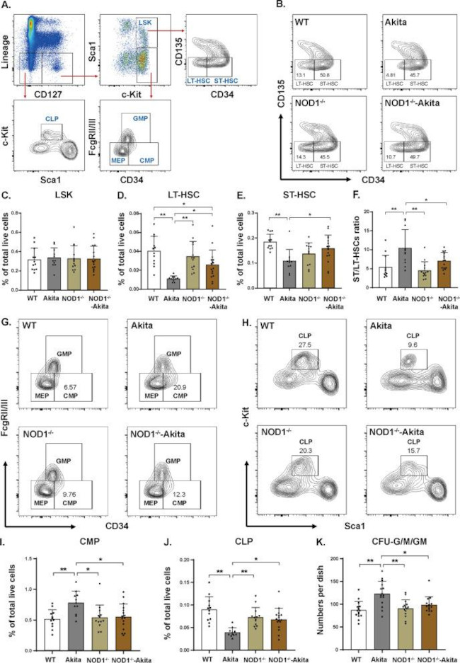 CD135 (Flt3) Antibody in Flow Cytometry (Flow)