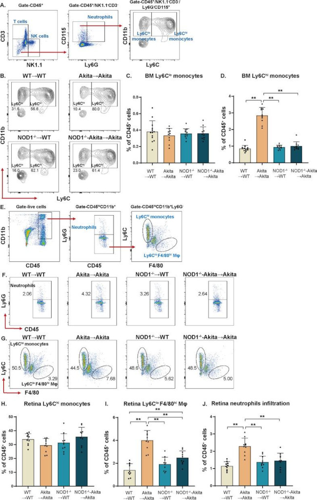 CD11b Antibody in Flow Cytometry (Flow)