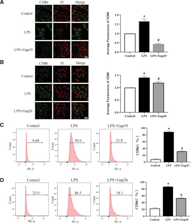 CD86 Antibody in Flow Cytometry (Flow)