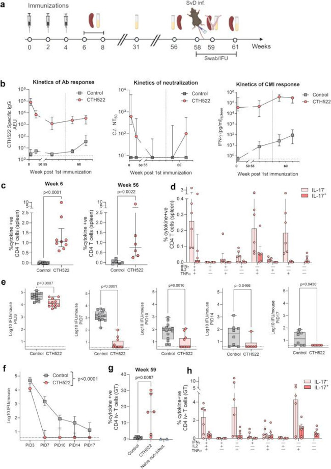 IL-2 Antibody in Flow Cytometry (Flow)