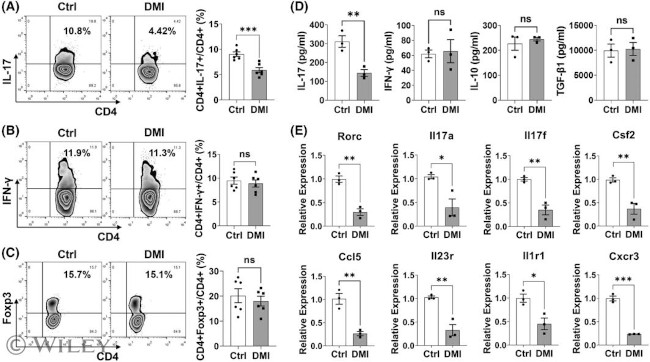 IFN gamma Antibody in Flow Cytometry (Flow)