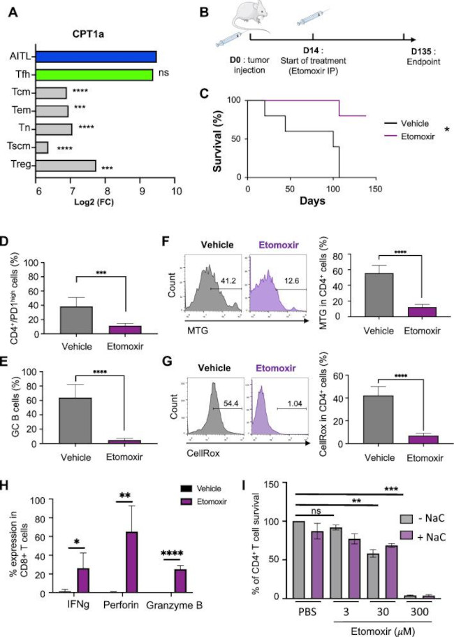 その他 Ty 純正18310-Z44-A30 マフラー ホンダ EU2200i および EB2200i 発電機用