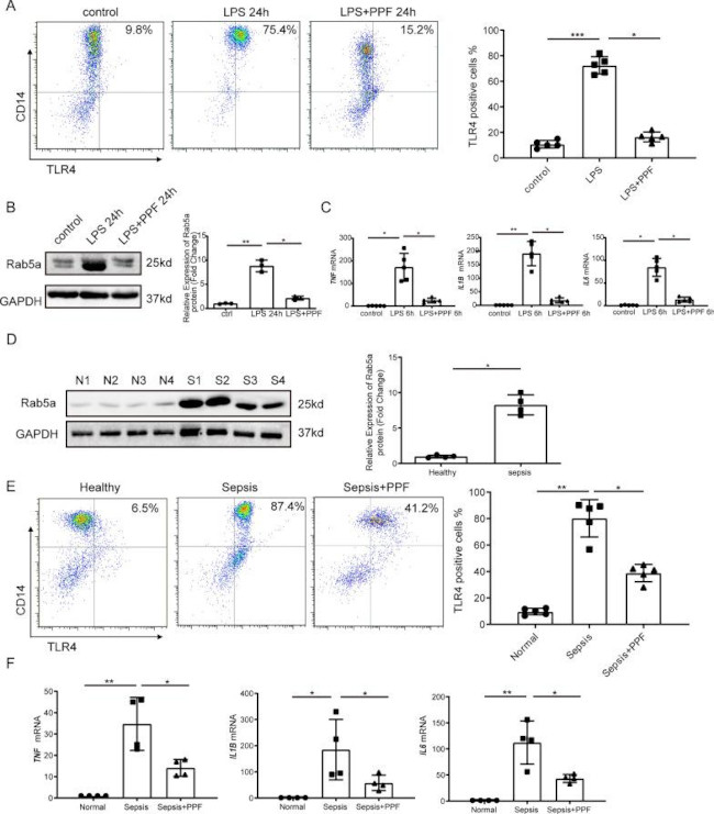 CD284 (TLR4) Antibody in Flow Cytometry (Flow)
