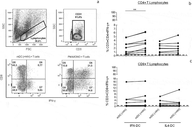 IFN gamma Antibody in Flow Cytometry (Flow)
