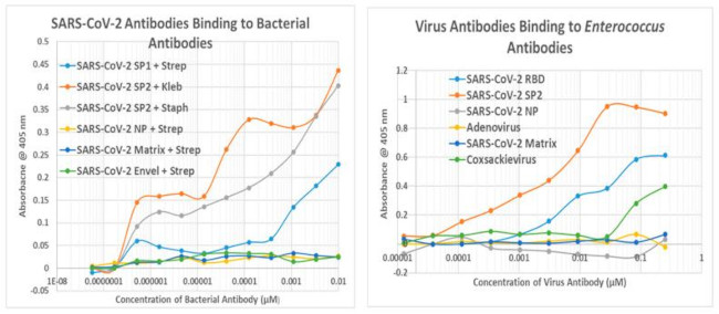 Enterococcus Antibody in ELISA (ELISA)