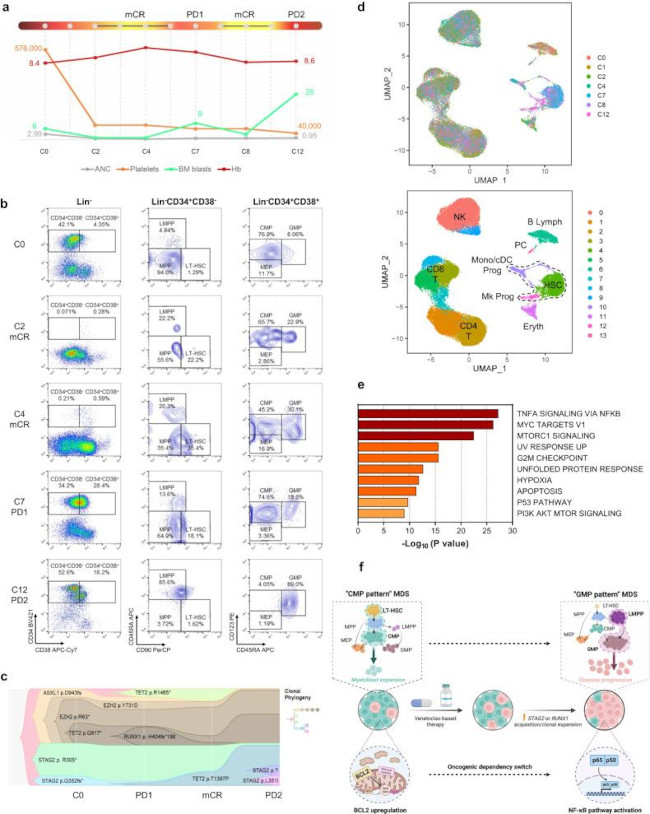 CD34 Antibody in Flow Cytometry (Flow)