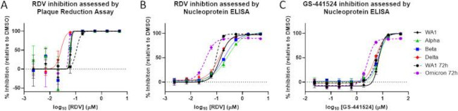 SARS-CoV-2 Nucleocapsid Antibody in ELISA (ELISA)