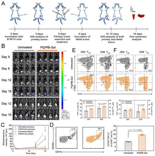 CD8 Antibody in Flow Cytometry (Flow)