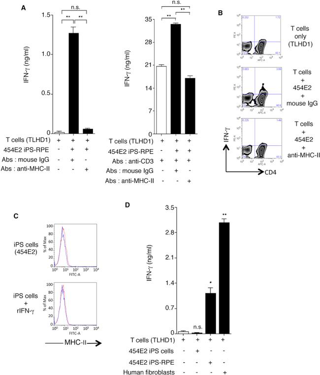 HLA-DR Antibody in ELISA (ELISA)