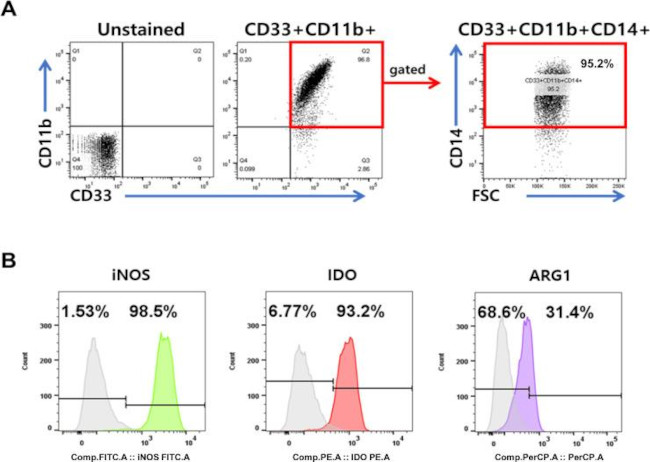 CD33 Antibody in Flow Cytometry (Flow)