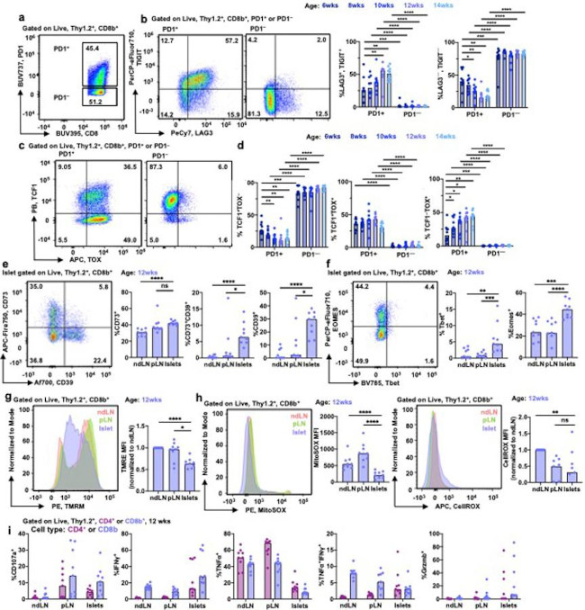 CD39 Antibody in Flow Cytometry (Flow)