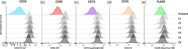 CD55 Antibody in Flow Cytometry (Flow)